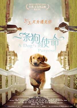 黄文网站