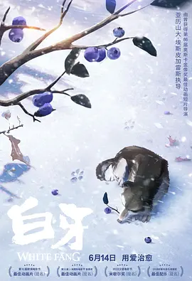 久久精品一区二区三区不卡